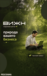 ВИЖН: природа вашего бизнеса